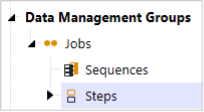 data mgmt steps